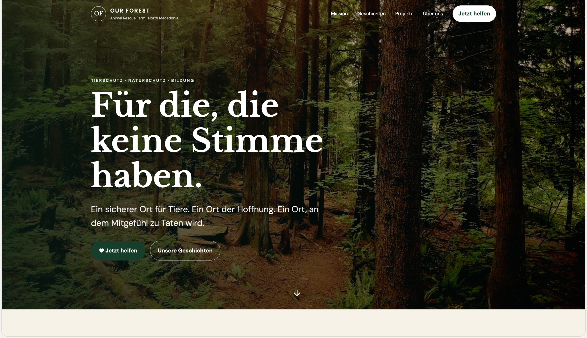 Vorschau der Webseite Our Forest